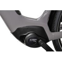 Batavus Altura E-Go Power Lageinstap 2025 - Afbeelding 2