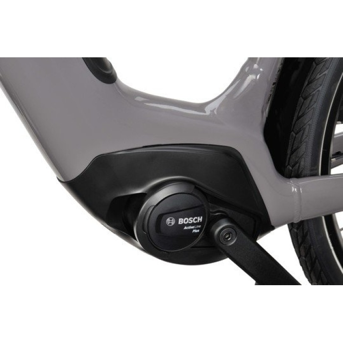 Batavus Altura E-Go Power Lageinstap 2025 - Afbeelding 2