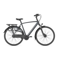 Gazelle Orange C7+ Heren 2022