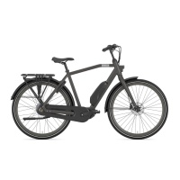 Gazelle Esprit C7 HEREN 2023 - Afbeelding 2