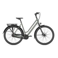 Gazelle Chamonix C8 DAMES 2024