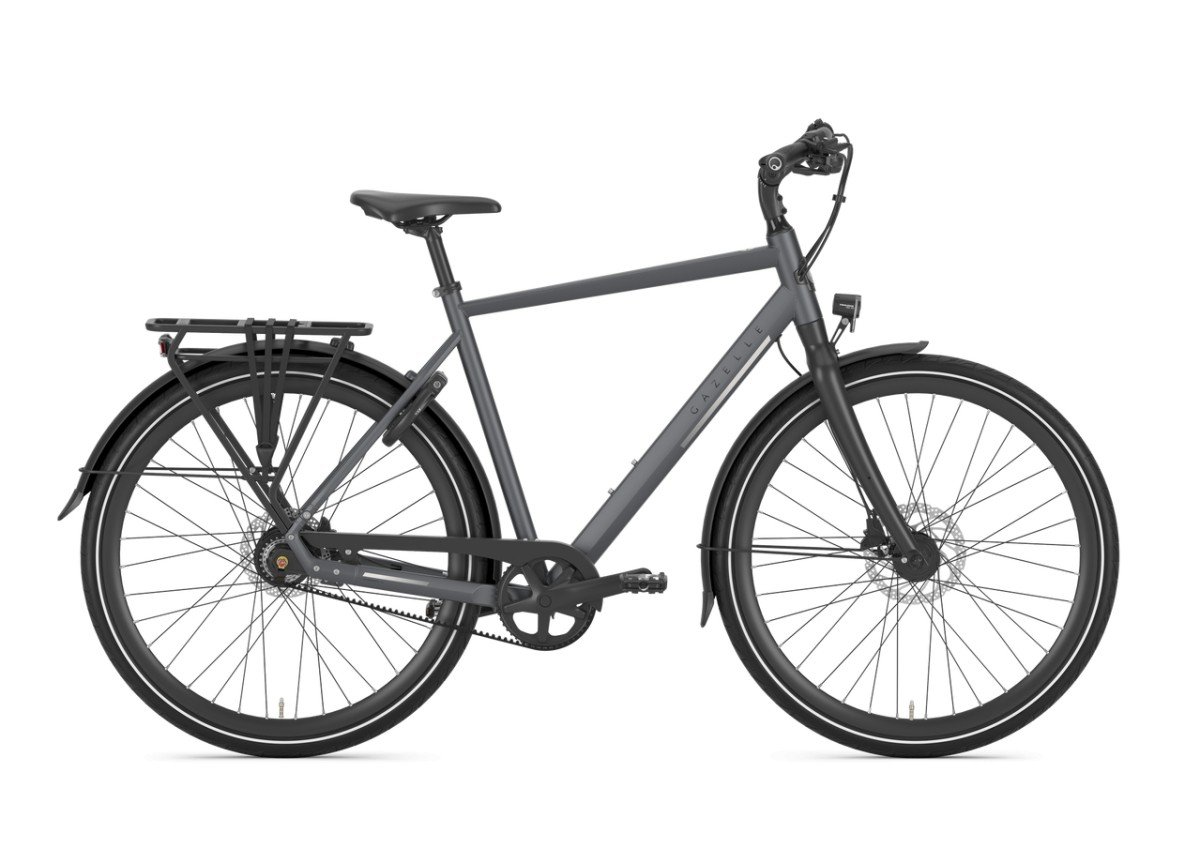 Gazelle Chamonix S11 HEREN 2024 - Afbeelding 3