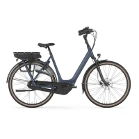 Gazelle Orange C8 DAMES 2025