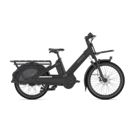 Gazelle Cabby C380 DAMES 2025