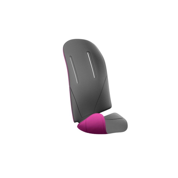 Thule inlay a RideAlong prs