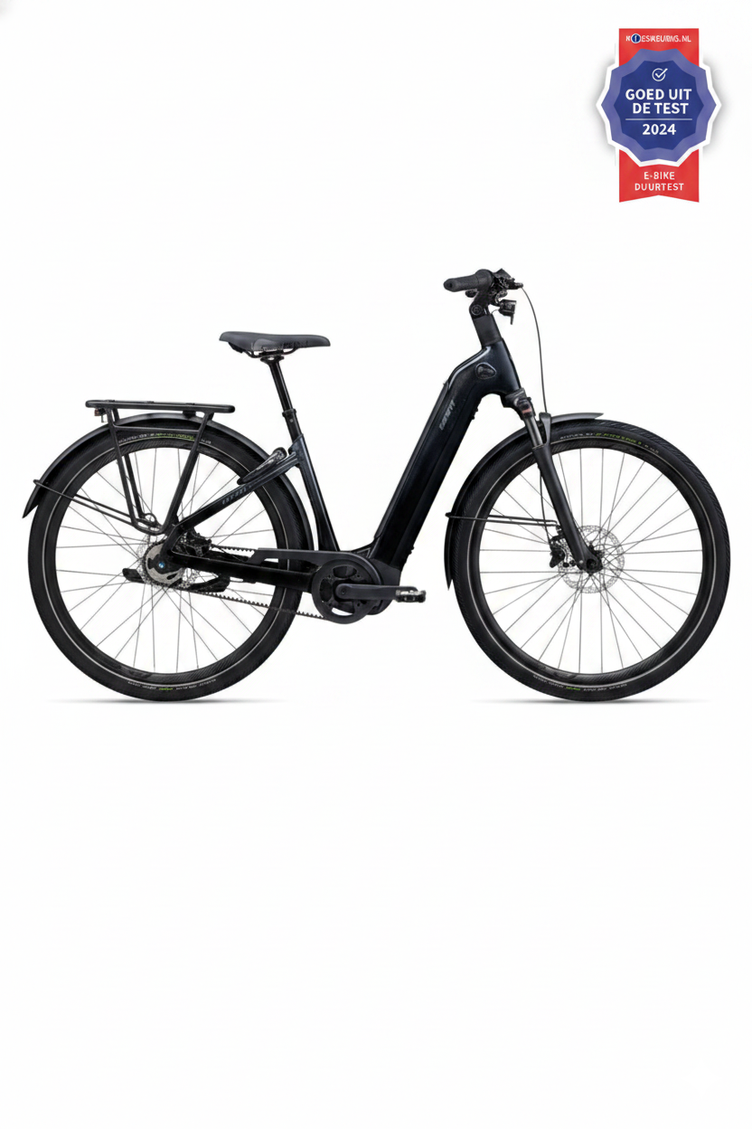 Giant AnyTour E+ 2 Lageinstap 2024
