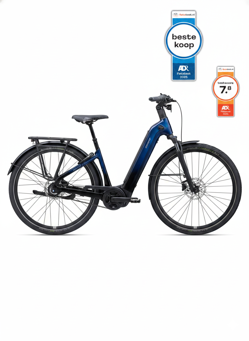Giant AnyTour E+ 3 Lageinstap 2024
