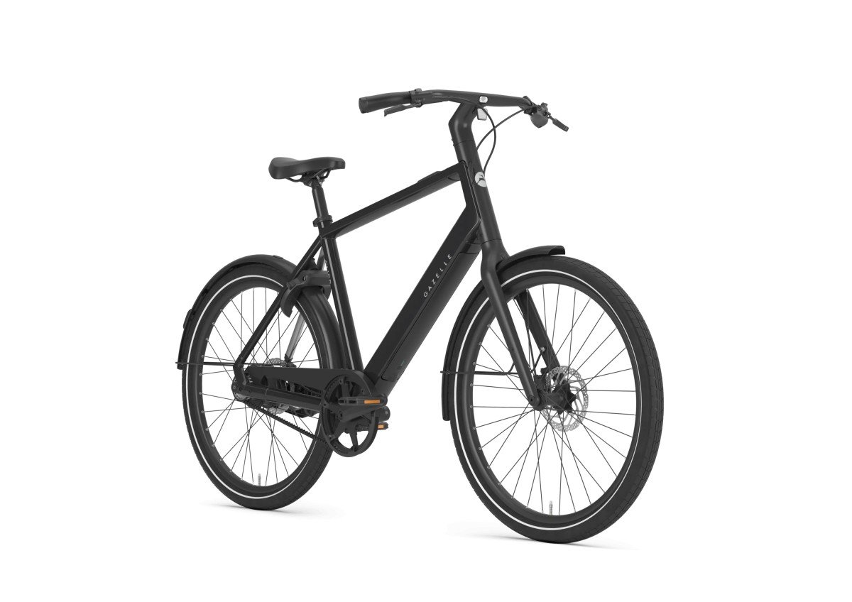 Gazelle Curb C1 HEREN 2027